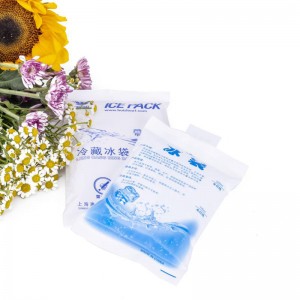 Recycable Water Injection Ice Pack 400ml/600ml/1000ml Food Medicine Seafood Cold Storage Bag