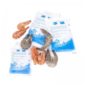 Recycable Water Injection Ice Pack 400ml/600ml/1000ml Food Medicine Seafood Cold Storage Bag