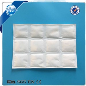 12-Cell Reusable Food-Grade Ice Pack