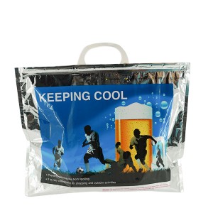 Hot Cold Thermal Bag With Plastic Handle For Grocery Bbq Packaging