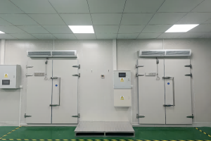 Professional technical laboratory